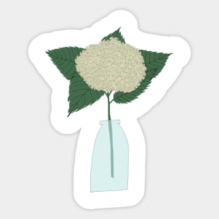 Floral drawing III: white hydrangea png Sticker